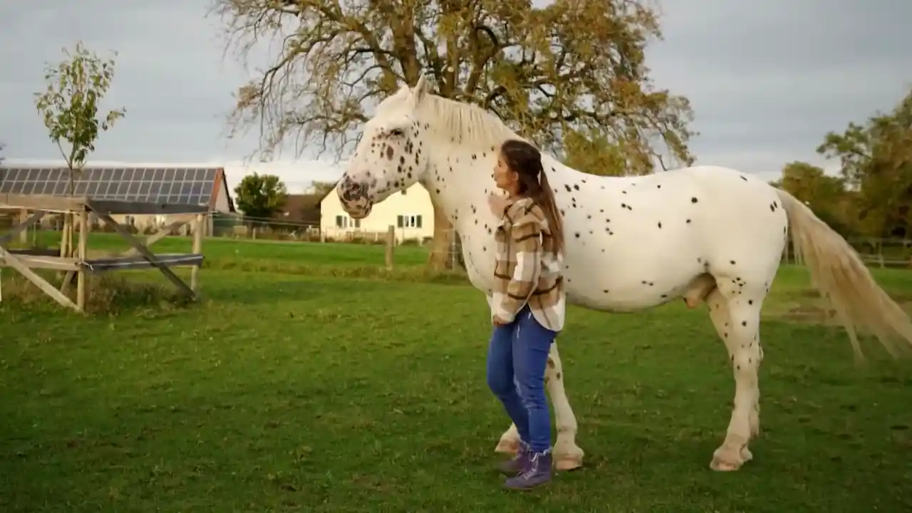 ¿Cómo se aprende a montar a caballo de forma segura y técnica Una jinete se acerca a su caballo para ganarse su confianza.