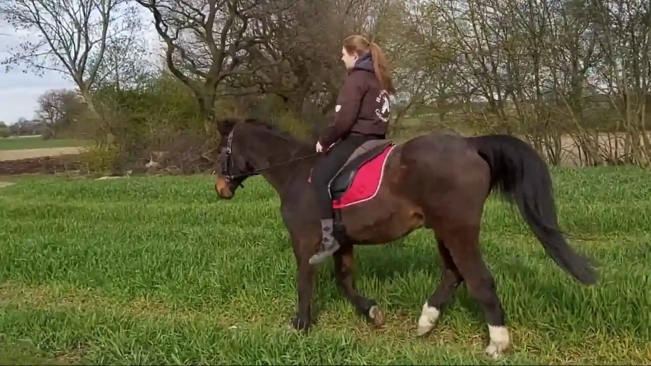 ¿Cómo se aprende a montar a caballo de forma segura y técnica Caballero practicando la marcha con su caballo al trote