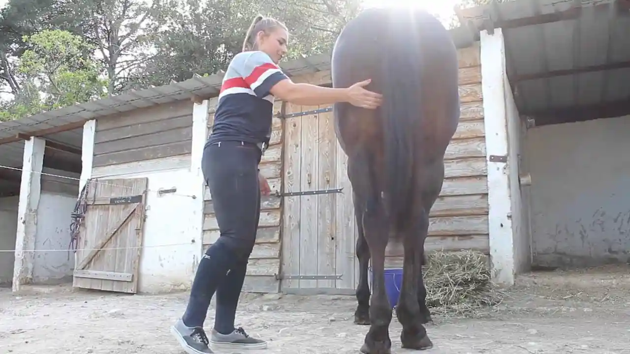 ¿Cómo se aprende a montar a caballo de forma segura y técnica Un jinete novato se prepara para montar su caballo.