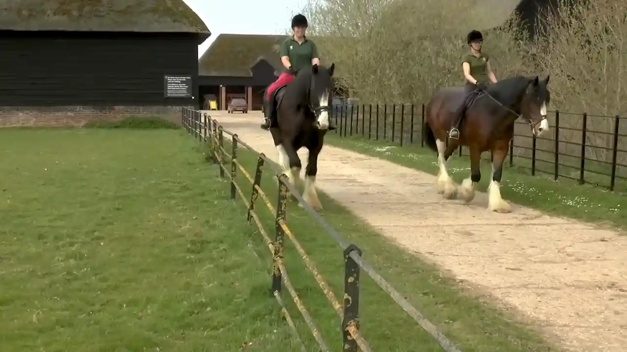 ¿Cómo se aprende a montar a caballo de forma segura y técnica Dos jinetes practicando el paso con su caballo al trote.