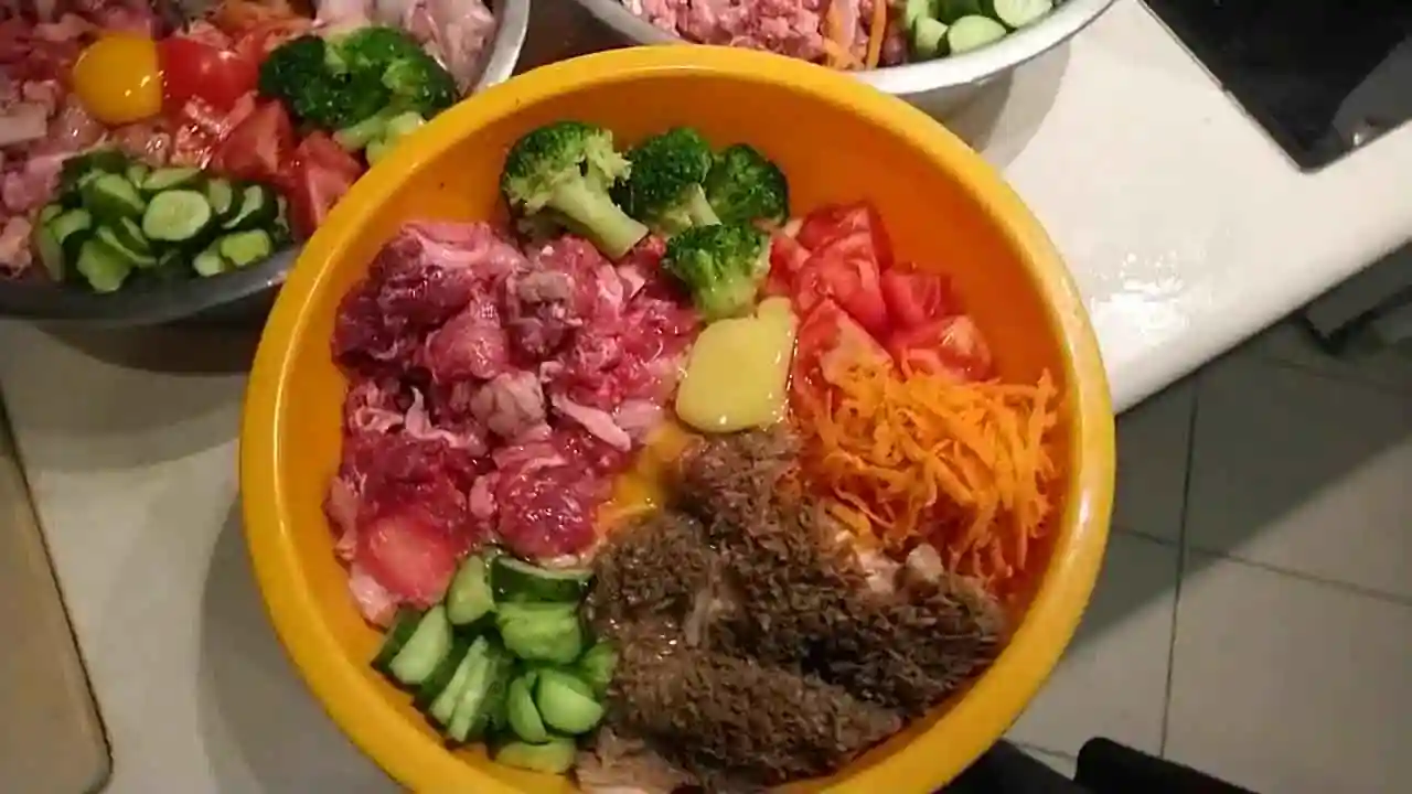 Alimentos con alto contenido en grasas que no son adecuados para perros con colitis eosinofílica