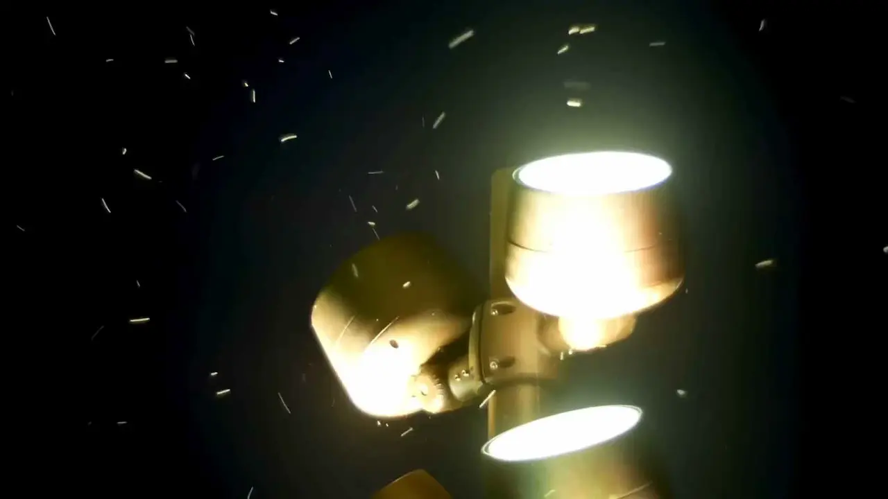 El espectro y el patrón de luz en las lámparas domésticas que atraen a ciertas familias de insectos.