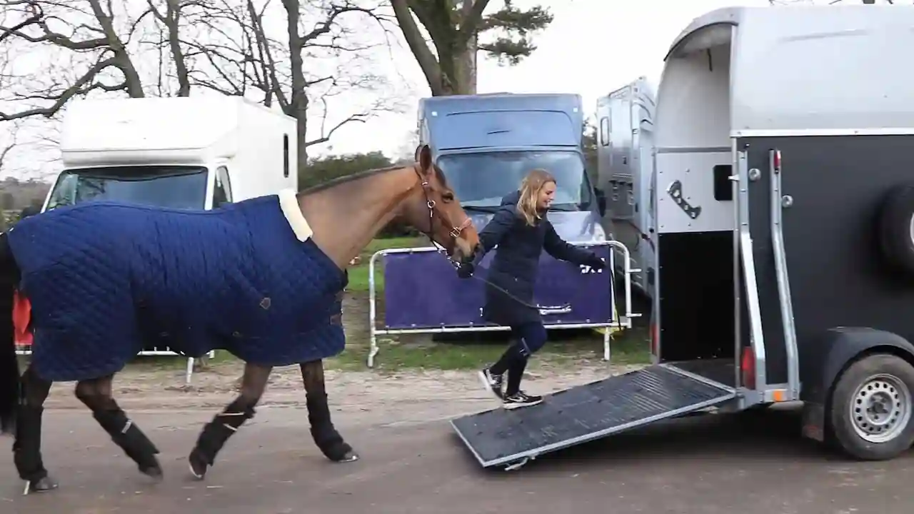 Un caballo entra en un remolque de transporte de caballos.