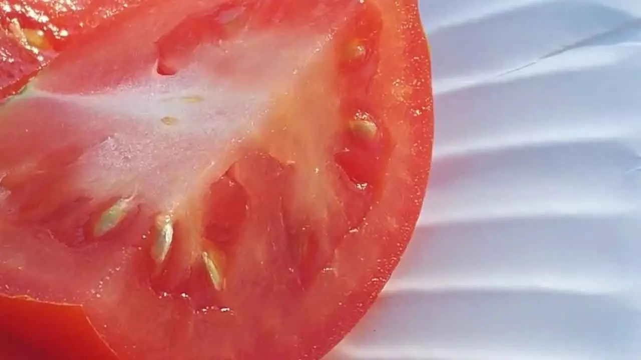 Los tomates se encuentran entre los alimentos prohibidos para los caballos.