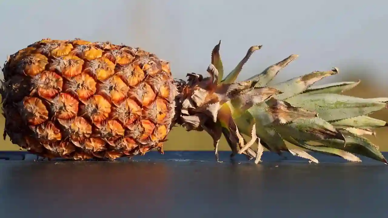 La piña es una de las frutas más peligrosas para los caballos.